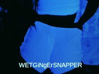 WETGiNgErSNAPPER