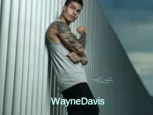 WayneDavis