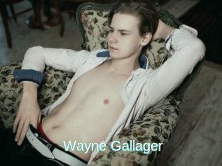Wayne_Gallager