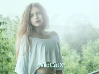 Wild_CatX