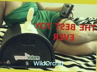 WildOrchid_