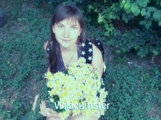 Wildcumster