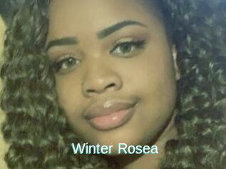 Winter_Rosea