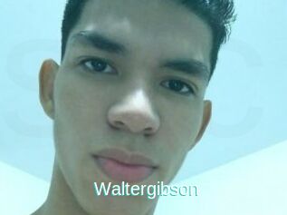 Waltergibson