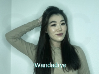 Wandadrye