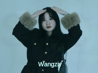 Wangziy