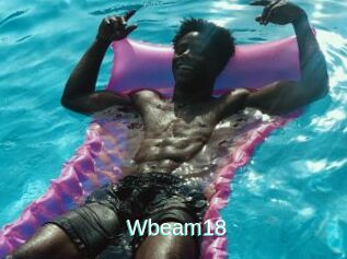 Wbeam18