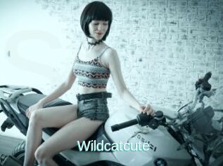 Wildcatcute