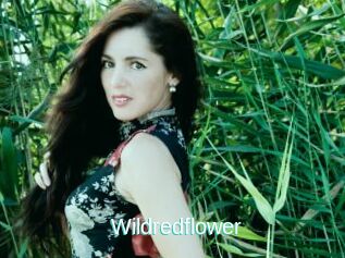 Wildredflower