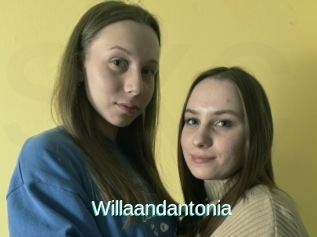 Willaandantonia
