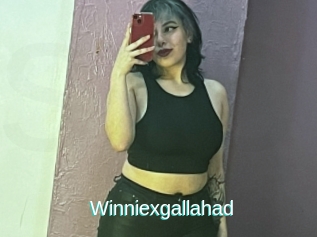 Winniexgallahad