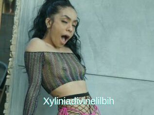 Xyliniadivinelilbih