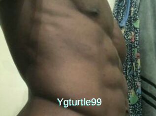 Ygturtle99