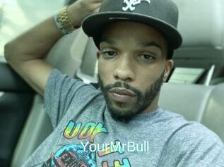 YourMrBull