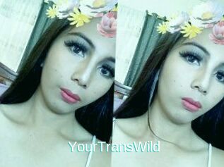 YourTransWild