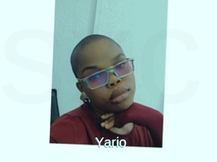 Yario