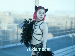 Yukiamecat