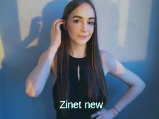 Zinet_new