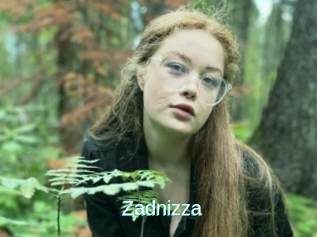 Zadnizza