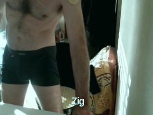 Zig