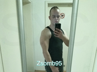 Zsomb95